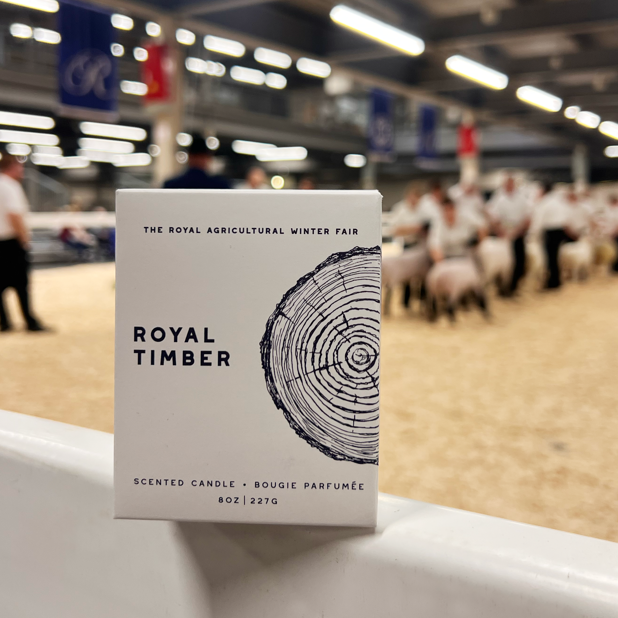 Accessories – The Royal Paddock