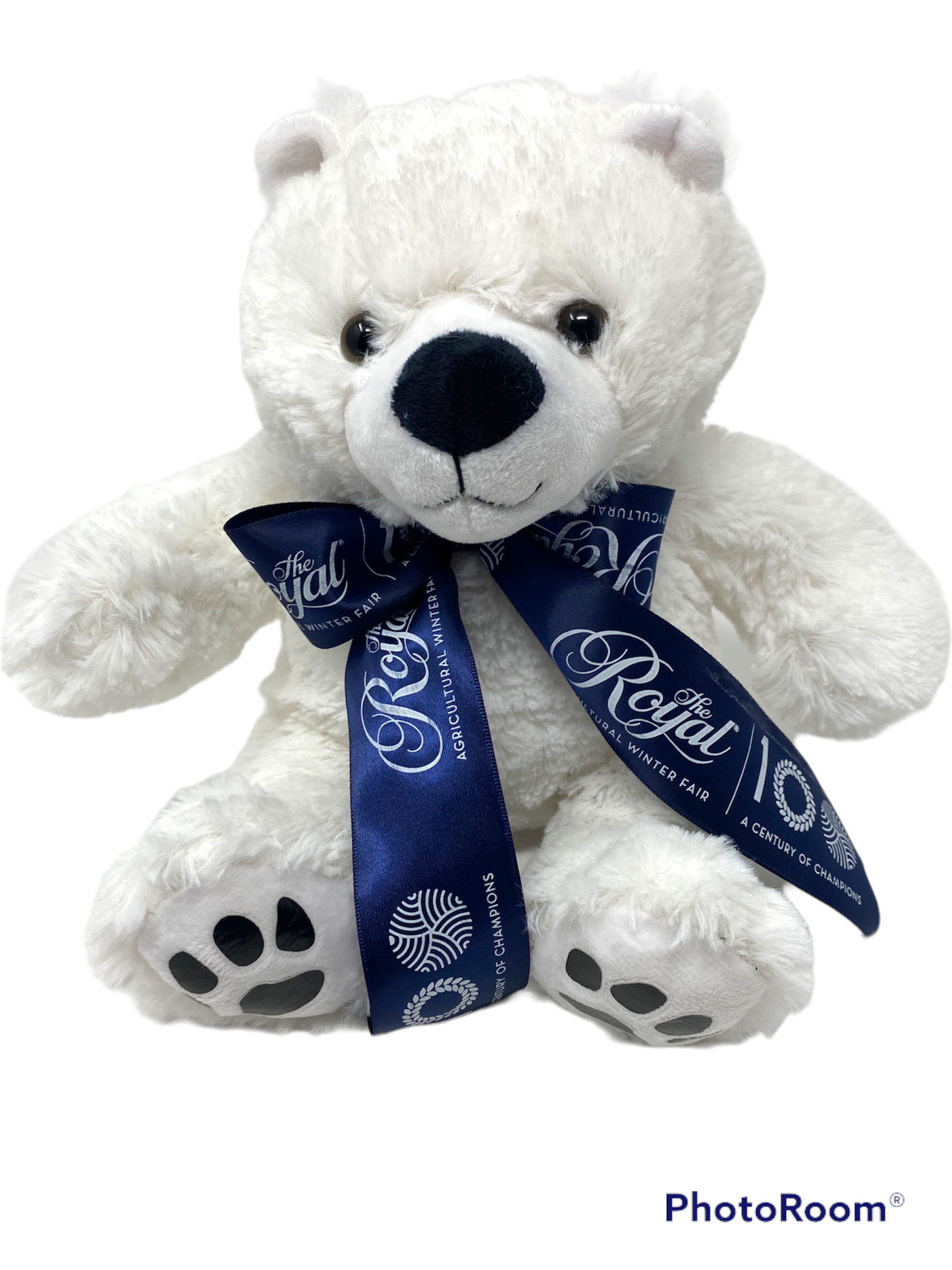 Royal Teddy Bear